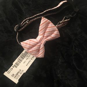 Couture ADJUSTABLE Dog collar with removable bow!!